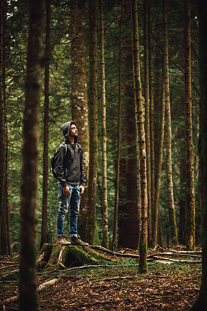 istock Hooded man posing in the forest 498860664