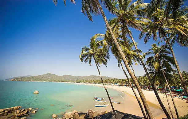  Paradise beach in India, Goa, Palolem. Wonderfull beach with mountain and palm tree. Small boats, clean blue water , pure sky, tropical climate. 