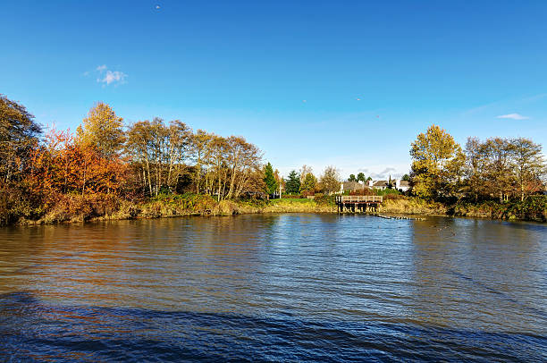 istock late autumn landscape by the pond 498869264
