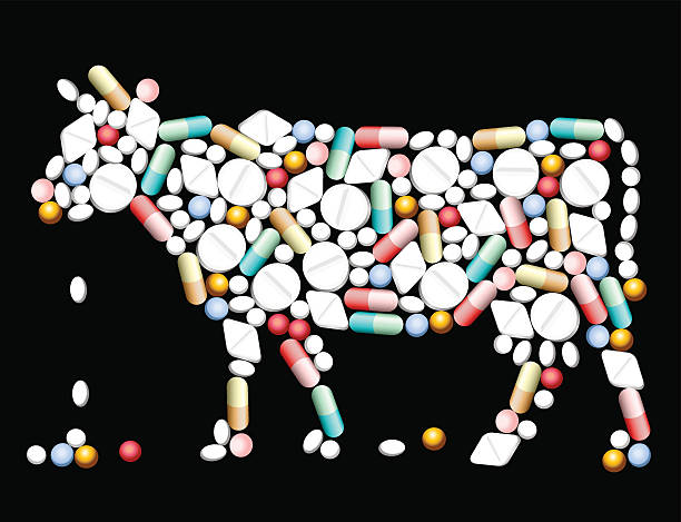 Tablets Pills Cow Tablets, pills and capsules, that shape a cow. Vector illustration on black background. dangerous steak stock illustrations