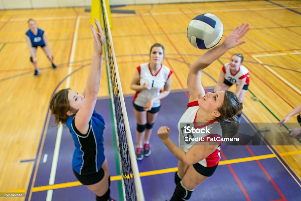 Varsity Volleyball - Zbiór zdjęć royalty-free (Piłka siatkowa)