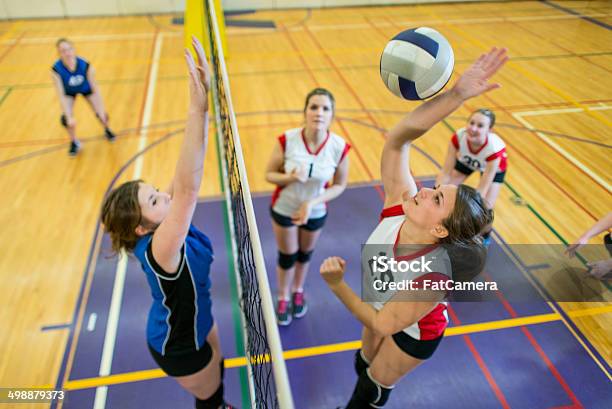 Varsity Volleyball - zdjęcia stockowe i więcej obrazów Piłka siatkowa - Piłka siatkowa, Siatkówka - Piłka, Szkoła średnia