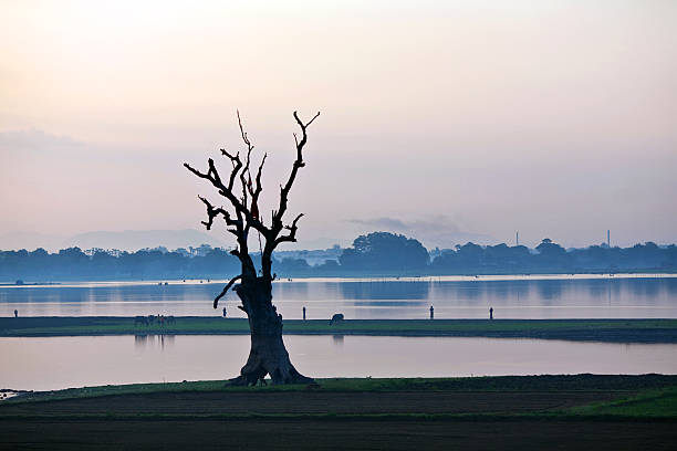 istock Morning in Amarapura, Myanmar 498880064
