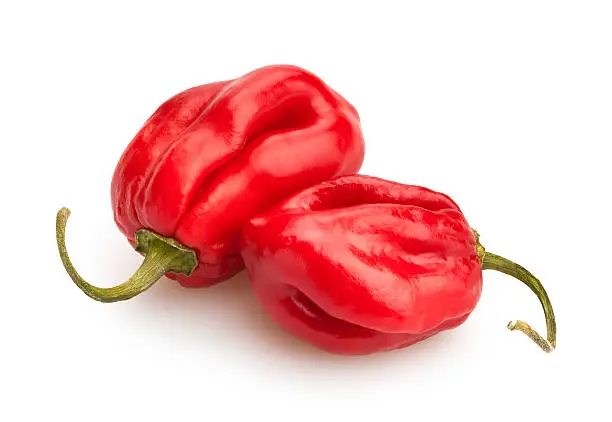 Photo of chili peppers