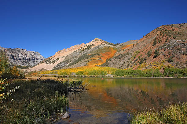 istock Water magnificent  Northlake 498881055