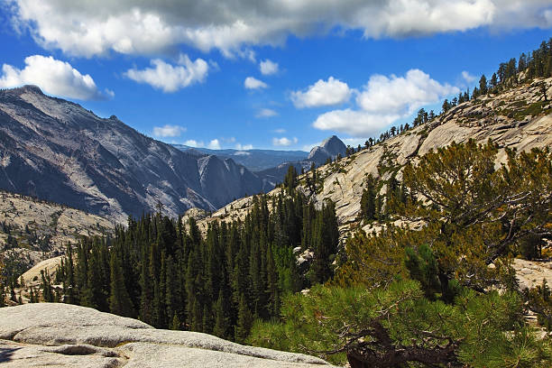 istock Glade at top of mountain 498881087