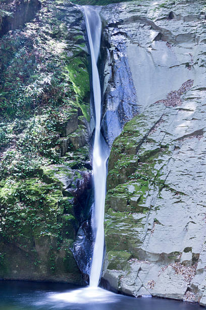 Fresh Green Nuno toki Falls Take a slow shutter of Nunohiki Falls, one of the representative waterfalls of Akame 48 Falls akame shijyuhachi stock pictures, royalty-free photos & images