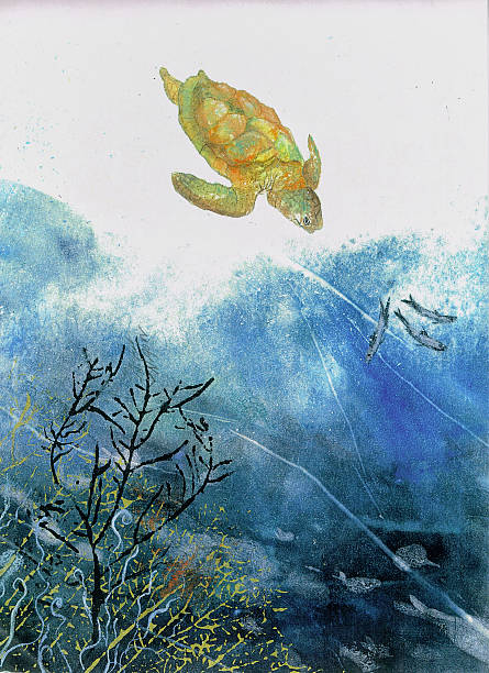 istock Original Painting Turtle And Sea Fans 498882359