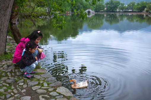 Hongcun, China - April 20, 2014: Tourists feeding duck on Moon Lake in Hongcun Village. Hongcun is ancient village in Anhui Province, near the southwest slope of Mount Huangshan.