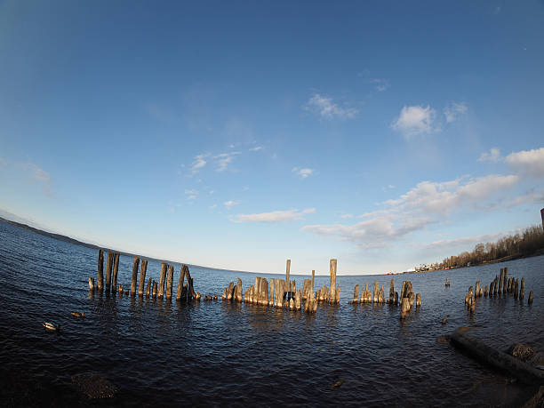 istock old piles in the lake 498885093