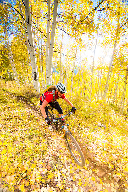 vtt femme automne - mountain biking colorado action cycling photos et images de collection