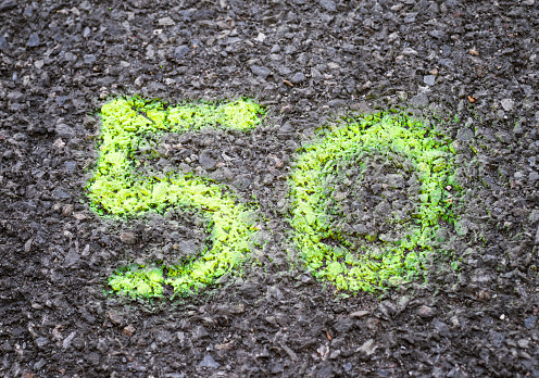 The number 50 spray painted on a tarmac road surface, part of a series of road markings for construction work.