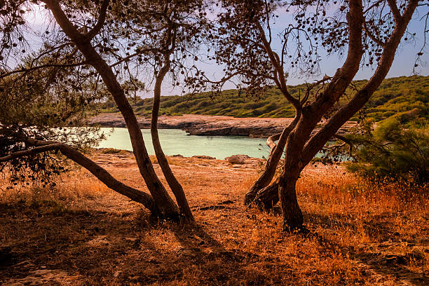 Salento coast: Bay Portoselvaggio. (Lecce.) - ITALY (Puglia) -