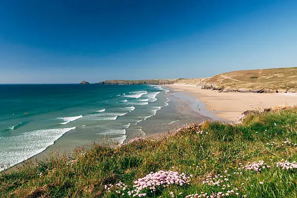 Perranporth beach on the north coast of Cornwall in South West England. It is a beautiful sunny day and waves are rolling into sea shore. Thrift and grass are visible in the foreground.