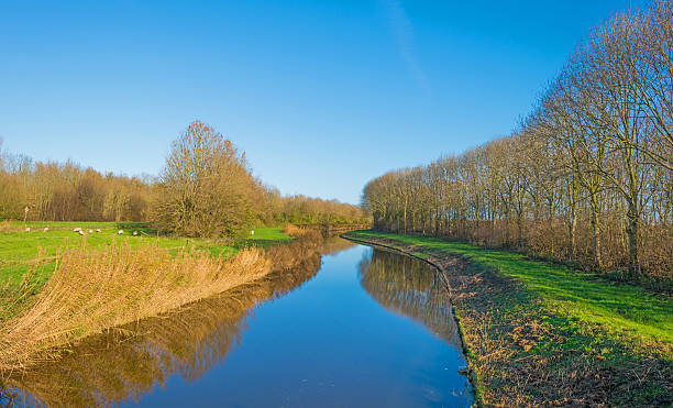 istock Canal through a rural landscape at sunrise 498890036