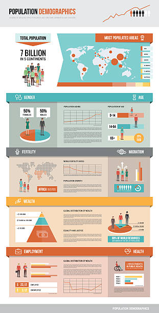 Population demographics Population demographics infographic with charts, statistics, icons and characters, social demography and statistics concept demographics infographics stock illustrations