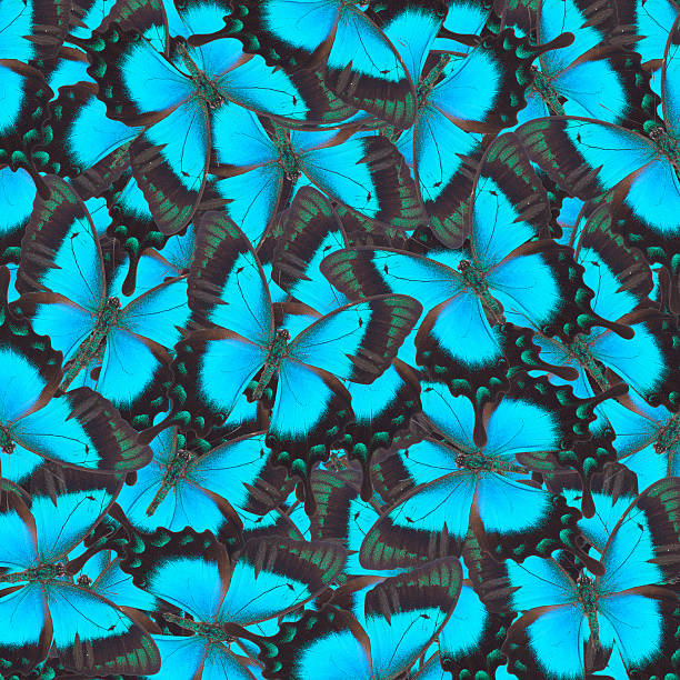 istock Sea Green Swallowtail butterfly 498892538