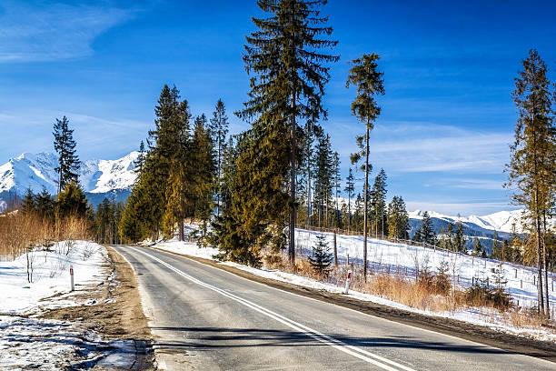 istock Road through the Tatra Mountains 498892782