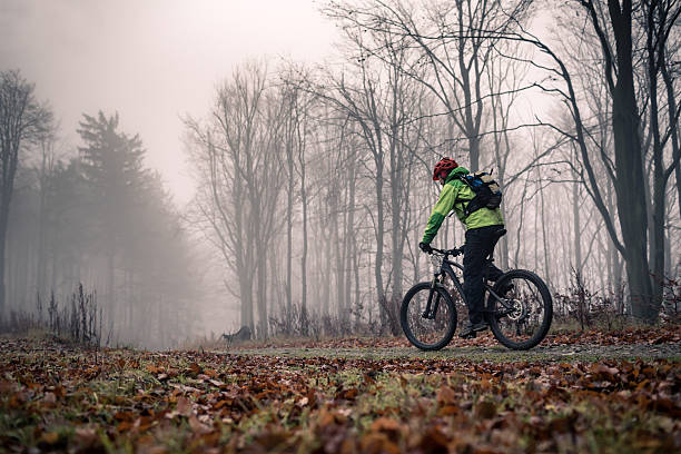 istock Mountain biker on cycle trail in woods 498894466