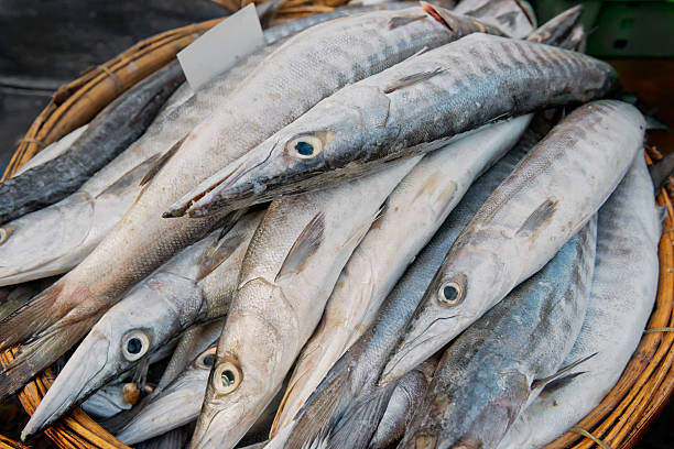 Barracuda fresca al lungo Hai mercato del pesce - foto stock