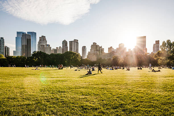 vista sullo skyline di manhattan e da central park - new york city skyline new york state freedom foto e immagini stock