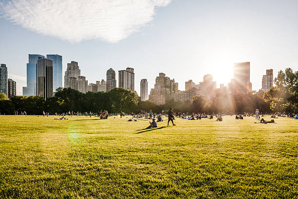 Manhattan skyline, view  from Central Park Manhattan skyline, view  from the Sheep Meadow, Central Park, New York City. People relaxing ath the grass at evening.  central park manhattan stock pictures, royalty-free photos & images