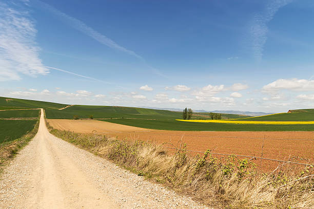 istock panoramic view, road to Santiago de Compostela, La Rioja, Spain 498902025