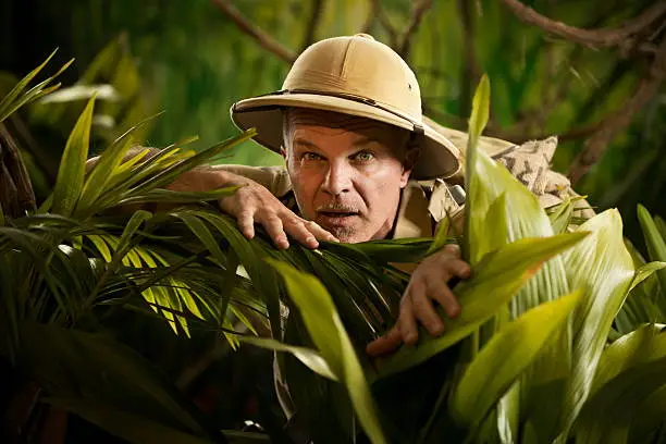 Photo of Adventurer peeking through plants