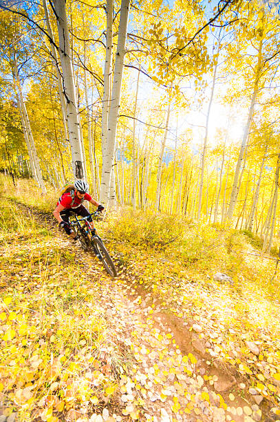 istock autumn mountain biking woman 498905523