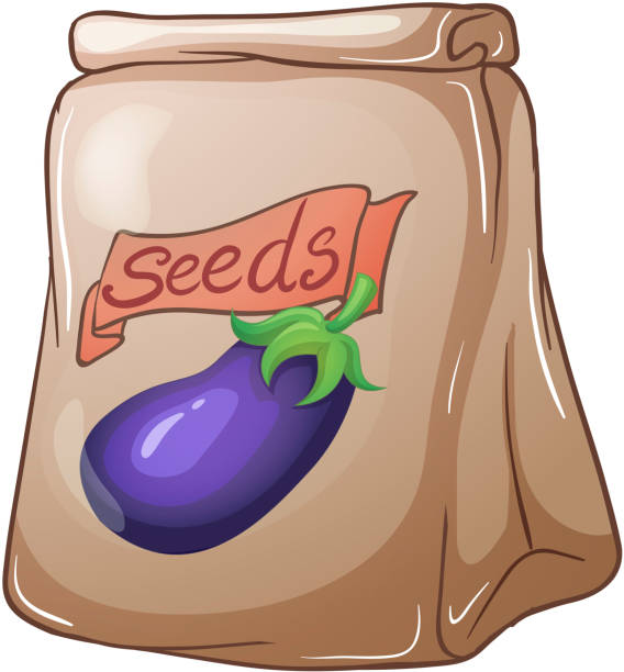 ilustrações de stock, clip art, desenhos animados e ícones de bolsa de sementes e beringela - hardbound