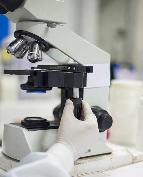 istock Details of medical laboratory, scientist hands using microscope. 498906448