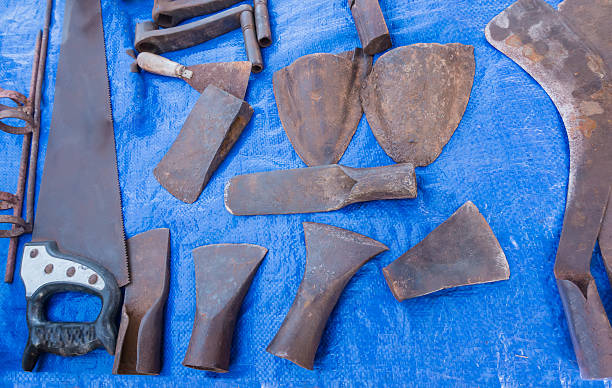 istock gardeners equipment 498908916