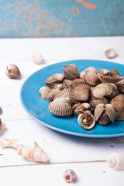 istock Clam with shell on a blue plate on wood background 498913068