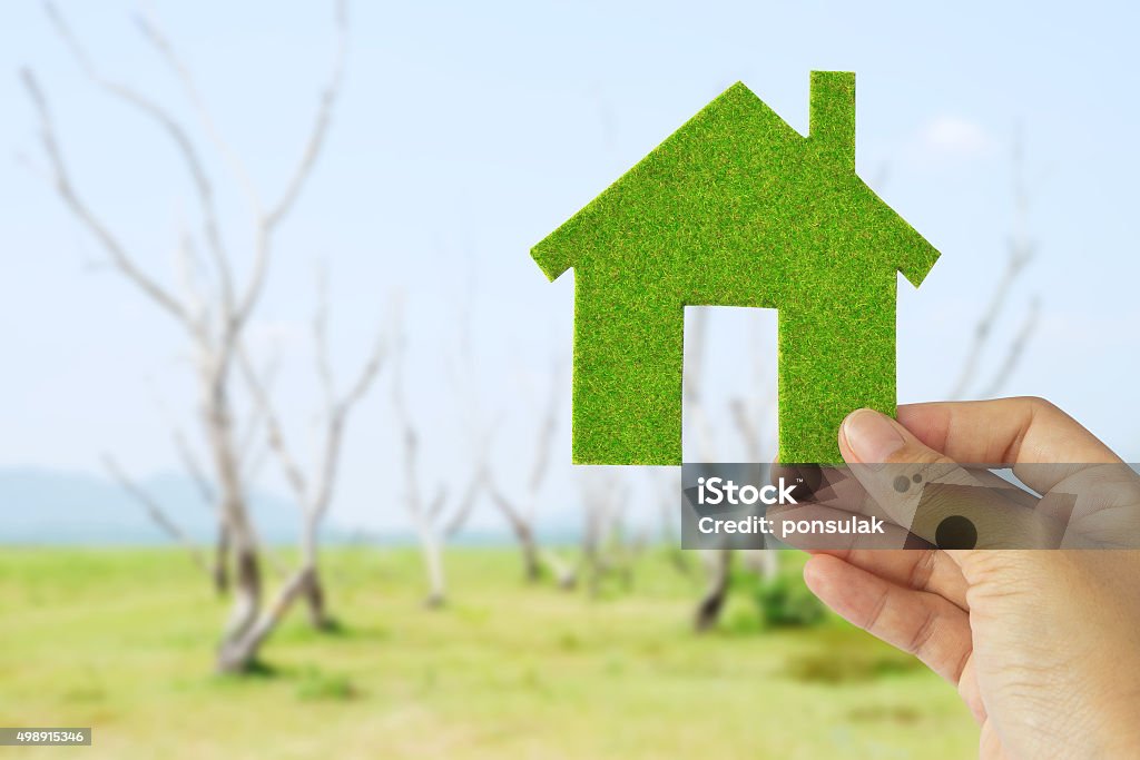Green house hand holding green house icon concept 2015 Stock Photo