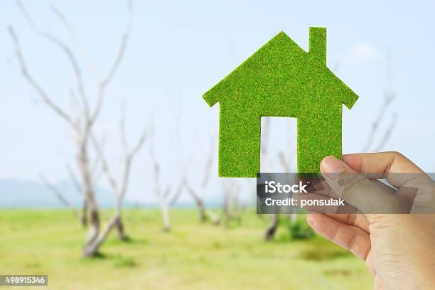 Green House Stock Photo - Download Image Now - 2015, Built Structure, Concepts