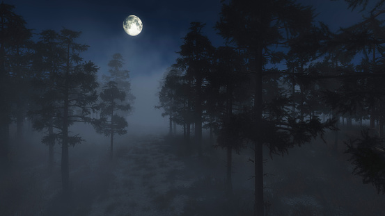 Spooky foggy pine forest in moonlight.