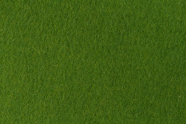 istock texture of green felt 498920856