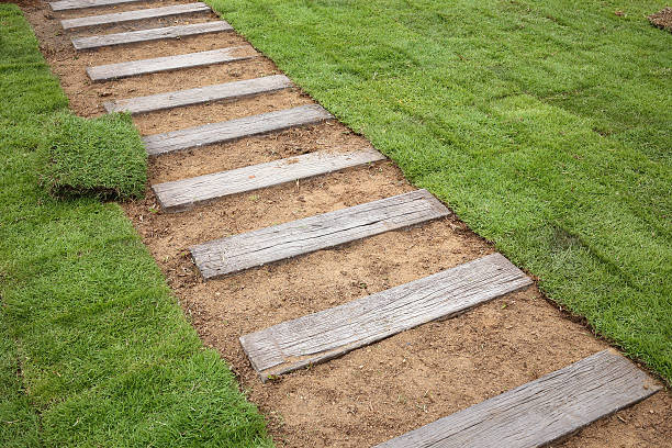istock planting new sod grass in the garden 498923769