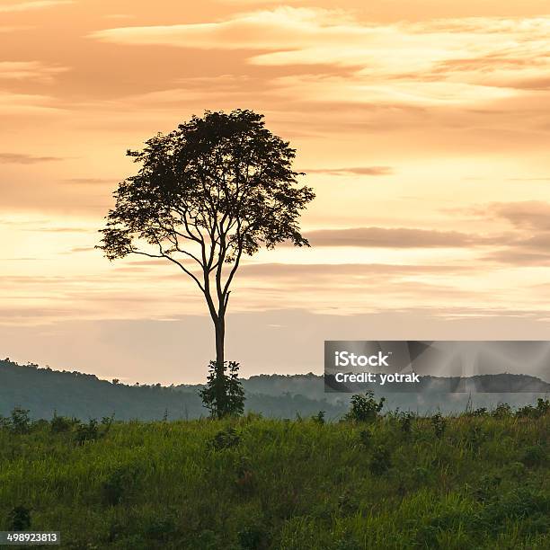 Photo libre de droit de Paysage De Coucher De Soleil Orange Avec Ciel Nuageux banque d'images et plus d'images libres de droit de Abstrait