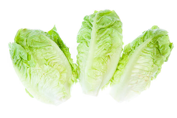 istock Green Iceberg lettuce on White Background 498924237