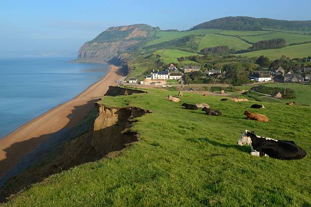 Seatown and and Golden Cap on Dorset's Jurassic Coast.