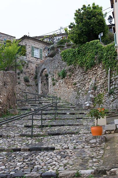 a biot - biot fotografías e imágenes de stock