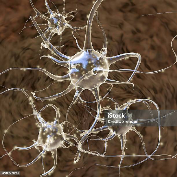 Mirror Neurons 3d Rendered Illustration Stock Photo - Download Image Now - Alzheimer's Disease, Animal Hippocampus, Animal Internal Organ