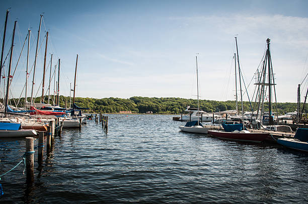 istock Boats docked at a pier 498927461