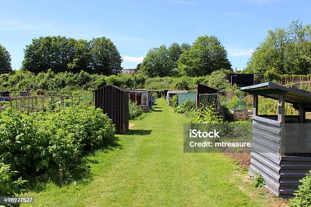 Imagem De Atribuição Horta Com Tubo Corrugado Espalhado Lawn - Fotografias de stock e mais imagens de Abrigo de Jardim