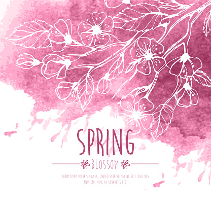 Blossoming Spring Branch. Vector illustration