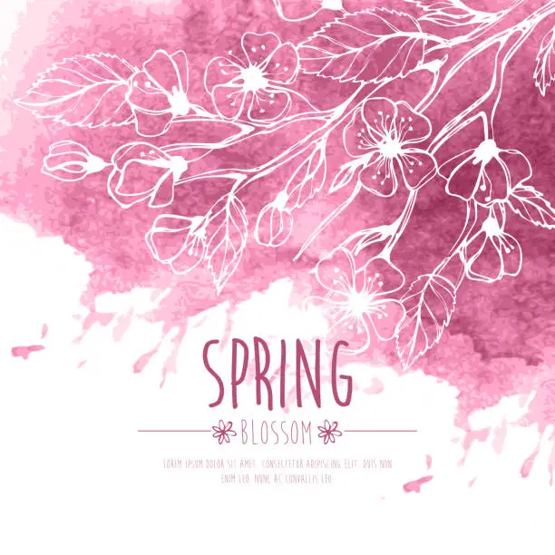 Vector illustration of Blossoming Spring Branch. Vector illustration