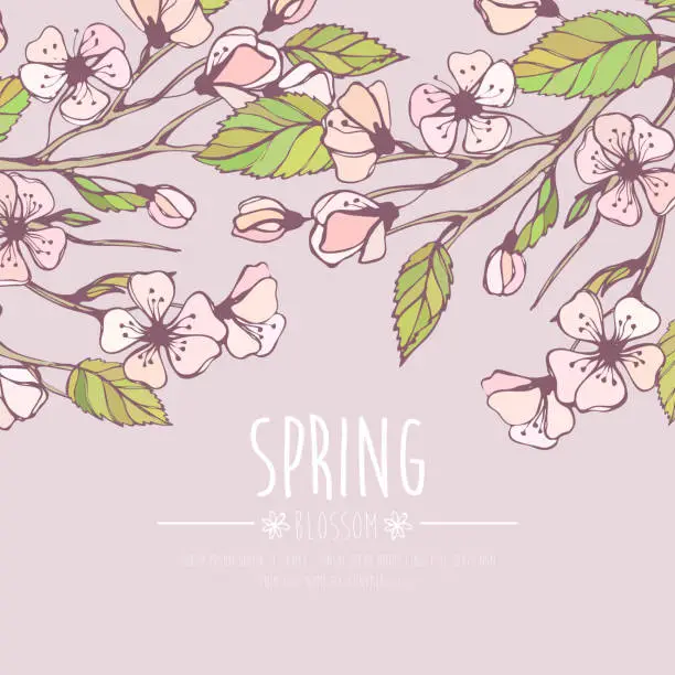 Vector illustration of Blossoming Spring Branch. Vector illustration