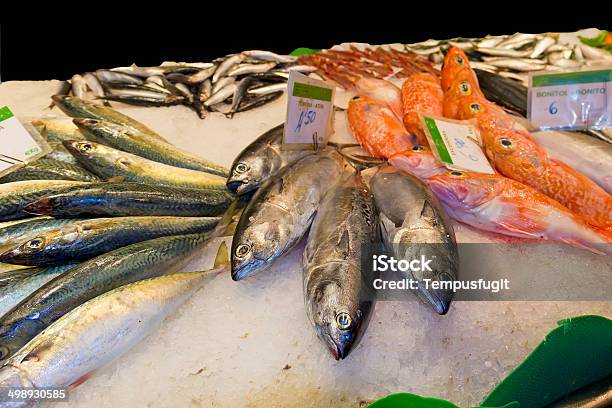 Variety Of Fresh Fish In The Market Stock Photo - Download Image Now - Abundance, Anglerfish, Animal