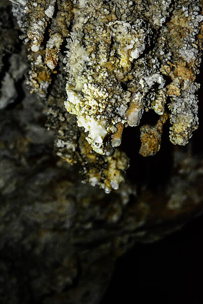 pared de piedra caliza en la cueva cubierto con dripstone - dripstone fotografías e imágenes de stock